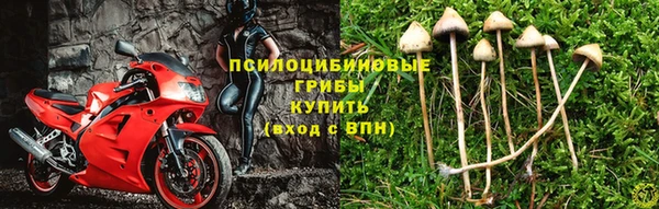 ALPHA-PVP Аркадак