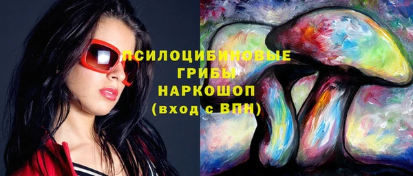 apvp Арсеньев
