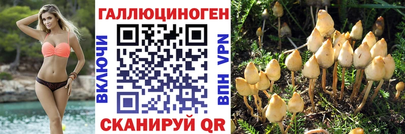 Галлюциногенные грибы Cubensis продажа наркотиков Калининец